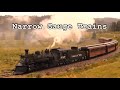 Narrow Gauge Trains