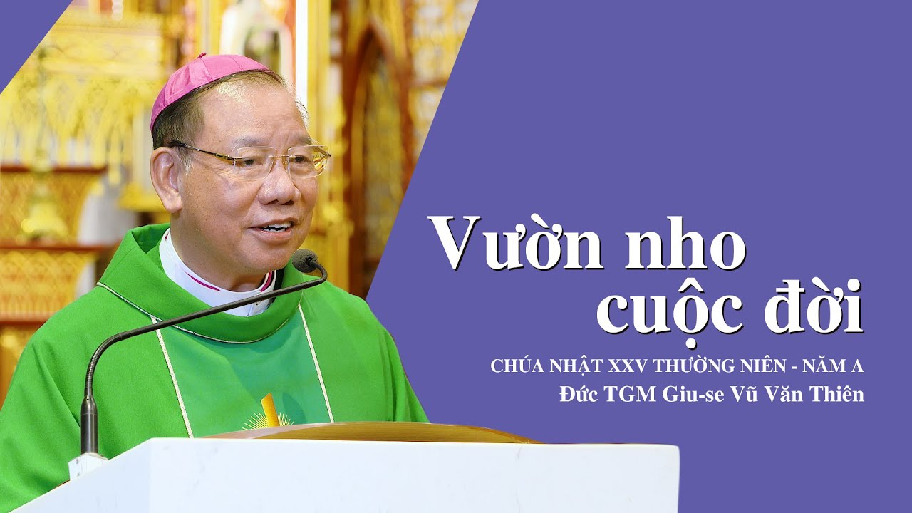 Outline Video CN XXV TN A || Vườn Nho Cuộc Đời