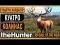 theHunter Call of the Wild #1 🐺 - Куатро Колинас (часть 1) - Хардкорная Охота