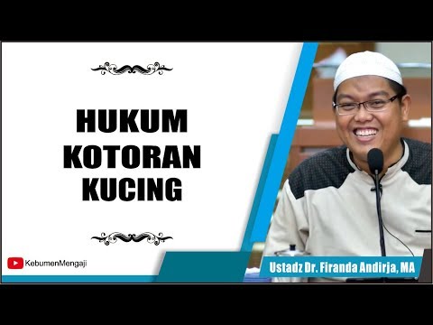 Video: Apa Itu Kotoran Kucing?