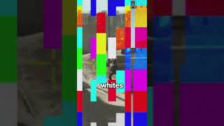 Best Crosshair Settings