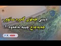 بینینی چەقۆی گەورە ساتوور چەپەچاخ ئامێری گۆشت جنین چییە لەخەودا 