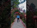 hokk hokk 🤘😍#trending #trendingshorts #travel #typpp #viralsong #viralvideo #trendingnow #viralnow
