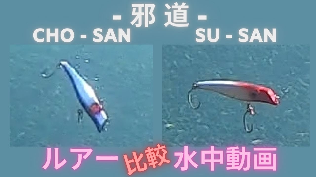 スーサン・チョーサン】水中映像 「邪道 ja-do su-san ,cho-san