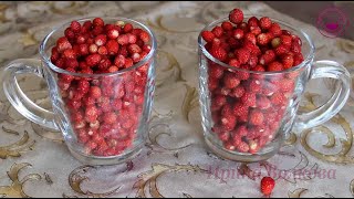 Земляника/ Интересные факты о землянике/ Wild Strawberry