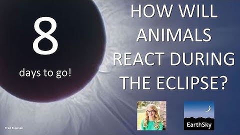 How Will Animals React During the Eclipse?