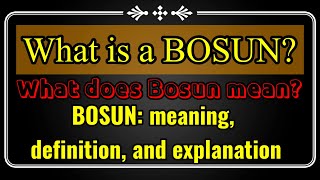 What Is A Bosun? What Does Bosun Do? Bosun: Meaning, Definition And Explanation.