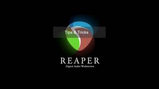 Reaper DAW: Delete Actions in Arrange View.