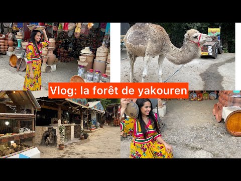 Vlog La Forêt De Yakouren أرواحو تحوسو معانا في غابة ياكوران سوسو بجبة قبايل 