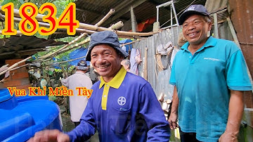 Tưởng cây Dừa khó Vua Khỉ Miền Tây nhờ thêm 2 người theo phụ và kết quả ? Cutting coconut trees