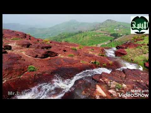 الفنان احمد شعتور البارقي 