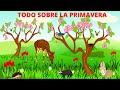LA PRIMAVERA PARA NIÑOS/ TODO SOBRE LA PRIMAVERA/ En Español