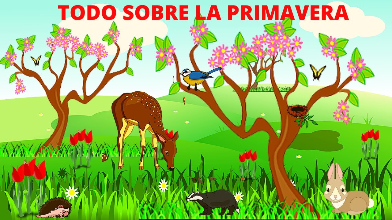 LA PRIMAVERA PARA NIÑOS/ TODO SOBRE LA PRIMAVERA/ En Español - thptnganamst.edu.vn