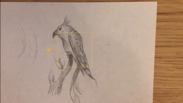 IPhone Screen Recording Drawing Tutorial Test Video