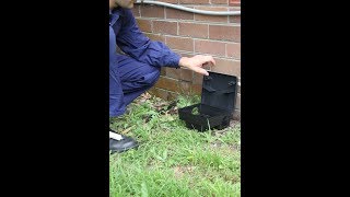 Bellevue Hill Pest Control Price for a Natural Alternative of Pest Control Price