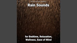 Rain Sounds Pt. 24