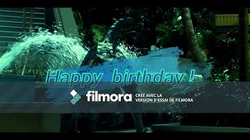 Part 11 for echo the spinoraptor birthday MEP