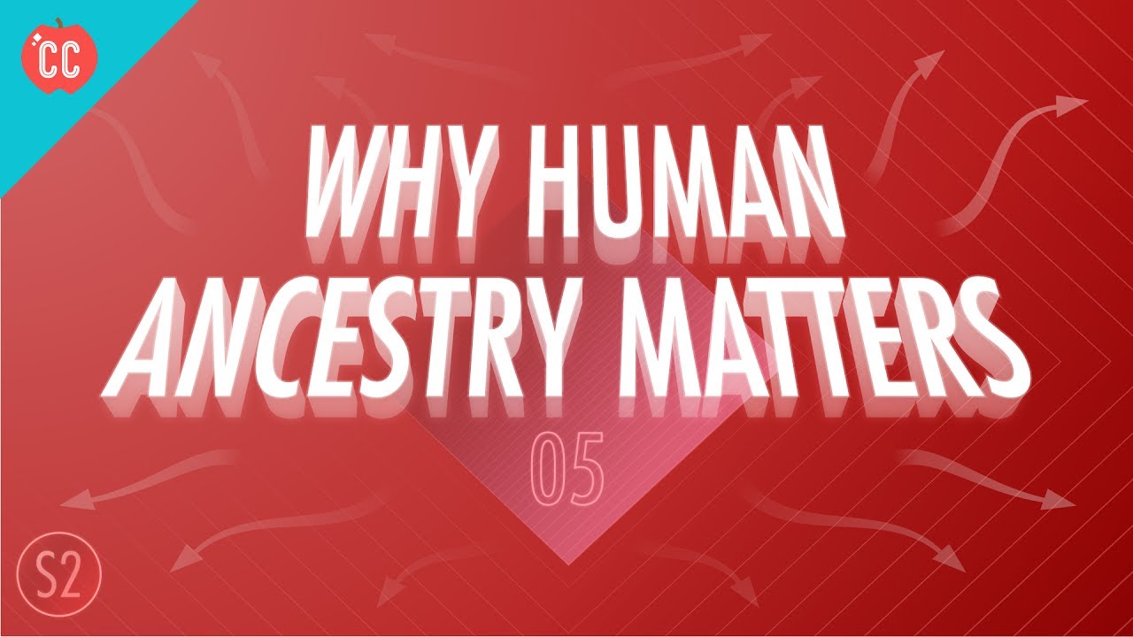 ⁣Why Human Ancestry Matters: Crash Course Big History 205