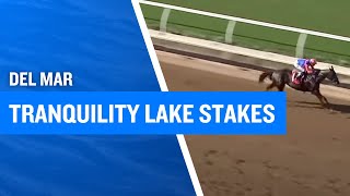 2025 $100,000 Tranquility Lake Stakes at Del Mar