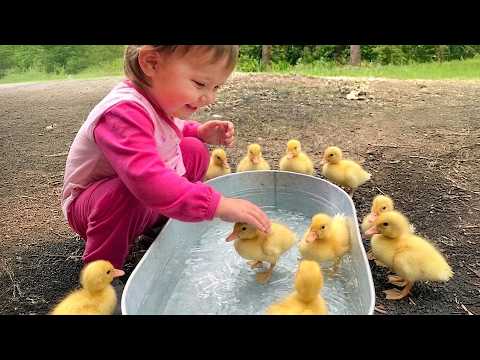 Babies Meeting Animals for the First Time (So Cute!)