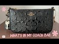 What’s In My Coach Bag | Small Dollar Tree Haul