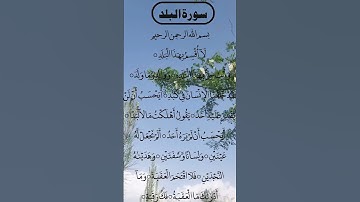 SURAH AL BALAD MOST BEAUTIFUL سورة البلد #egzonibrahimi #surahalbalad #surahbalad
