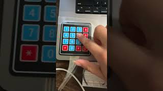 IMG 8684