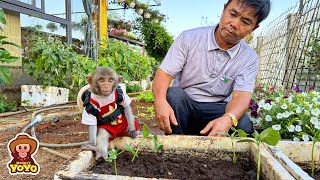 Monkey YiYi is very happy when her grandpa takes her out