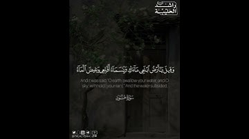 ﴿قال سآوي إلى جبل يعصمني من الماء قال لا عاصم اليوم من أمر الله إلا من رحم..﴾ | القارئ: راشد الحليبة