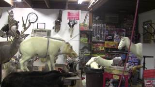 Boar Conversion Part 2 @ChuckTestaOfficial