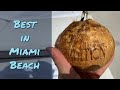 Why THE EDITION Is Miami Beach's Best Hotel  |  Coolest Luxury Hotels