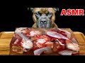 MUKBANG ASMR Dog eating Giant raw meat jelly!Chicken sheep beef 【American Bully】