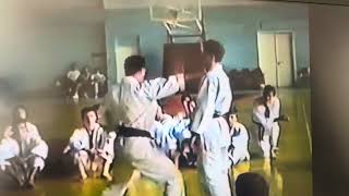 Orginal Traditionell Shotokan Karate Ikken hissatsu Serie