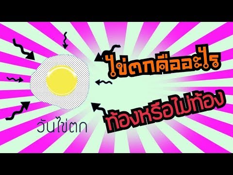 วัน ไข่ตกคืออะไร อยากท้องต้องรู้วันไข่ตก ไม่อยากท้องต้องเลี่ยงวันไข่ตก