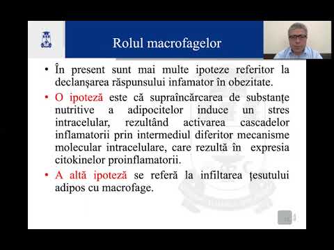 Obezitatea, inflamația și dieta - Prof. univ. dr. Anatolie Vișnevschi