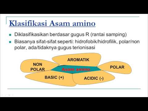 Video: Perbedaan Antara Asam Amino Polar Dan Nonpolar