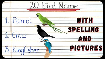 Birds name with spellings and pictures | 20 Birds name | Name of Birds In English