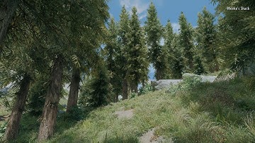 Skyrim Realistic ENB Sample Run 4: Unbelievable Grass 2 Ultra edition