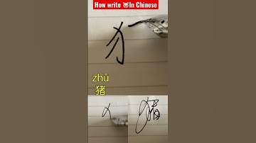 How to write “PIG” like a native Chinese ? One word per day #chinesecharacters #chinesenewyear