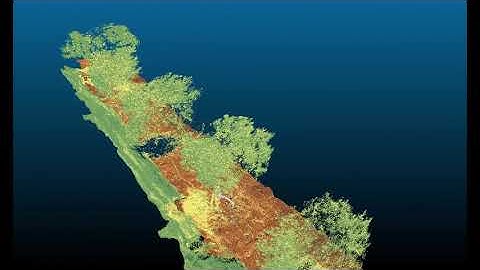 LiDAR scan of olive tree orchard