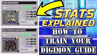 Digimon Training Stats EXPLAINED! Vital Bracelet BE Team Building Guide! How to Train your Digimon!