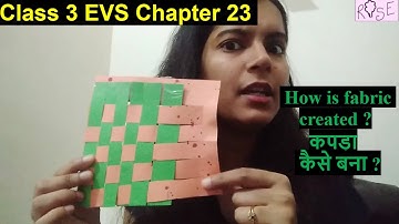 Class 3 EVS Chapter 23 | A beautiful Cloth | How is fabric created ?| कपड़ा कैसे बना ?| Fun Activity