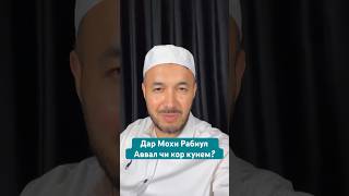 Дар Мохи Рабиул Аввал чи кор кунем? #lifestyle #religion #top