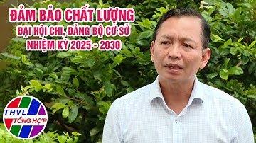 Chuyên đề Xây dựng Đảng: Đảm bảo chất lượng Đại hội Chi, Đảng bộ cơ sở nhiệm kỳ 2025-2030