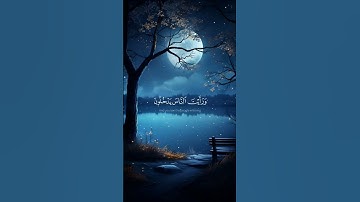 سورة النصر الشيخ ماهر المعيقلي