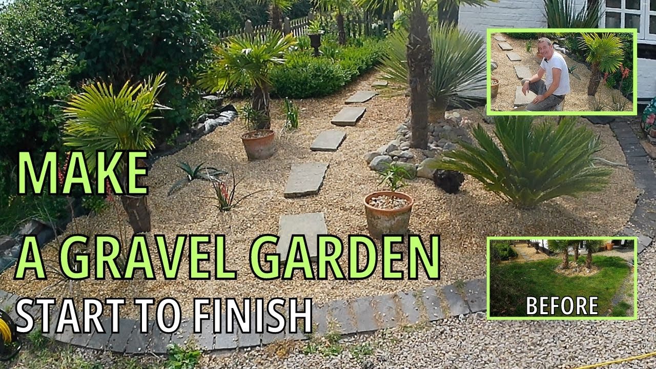 Planting a Gravel Garden Plants for an arid desert climate