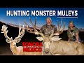 192" MULEY HUNT | Sonora Mexico | a MULE DEER HUNTER'S DREAM | with Wade Lemon Hunting