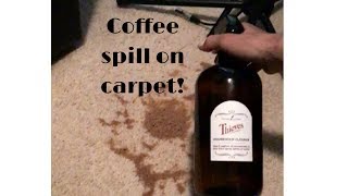 I Immediately Grabbed Thieves Household Cleaner & Look What Happened!