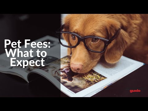 What Is A Typical Pet Fee For An Apartment