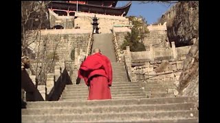 花絮:碰撞是你发愿要的(易度门·反省篇)